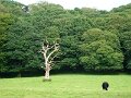 DSC07892