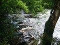 DSC07897