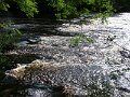 DSC07900