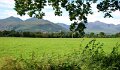DSC07964