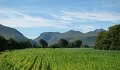 DSC07970