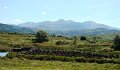 DSC08028