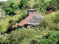 DSC08068
