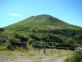 DSC08069