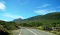 DSC08082