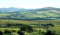 DSC08086