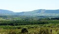 DSC08087