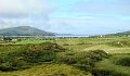 DSC08157