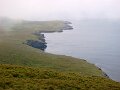 DSC08199
