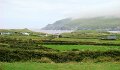 DSC08237