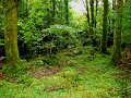 DSC08305