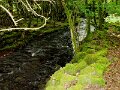 DSC08308
