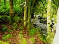 DSC08309