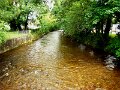 DSC08414