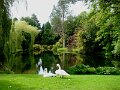 DSC08646