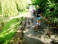 DSC08691
