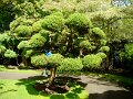 DSC08693