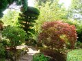 DSC08694