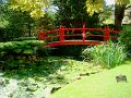 DSC08699