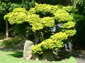 DSC08706