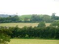 DSC08786