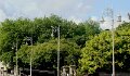 DSC08993