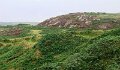 DSC09168