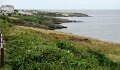 DSC09169