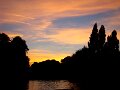 DSC09881