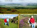 092DonegalText