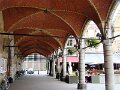 DSC03497