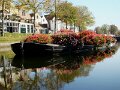 DSC03865