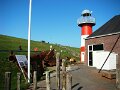 DSC03939