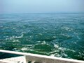 DSC03973