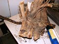 DSC04056