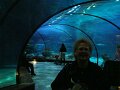 DSC04230 - Copy (2)