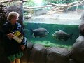DSC04249 - Copy