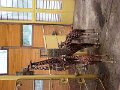 DSC04292 - Copy