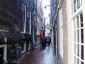 DSC04531