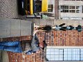 DSC04744