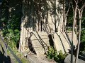 DSC04917