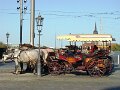 DSC04965