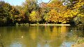 DSC05152