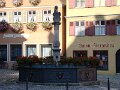 DSC05238