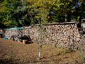 DSC05242
