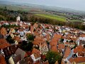 DSC05274 - Copy