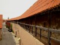 DSC05304 - Copy