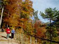 DSC05487