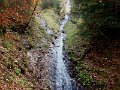 DSC05495