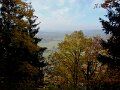 DSC05511